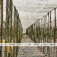 Agrosia Pet Agriculture Wire for Shadenet