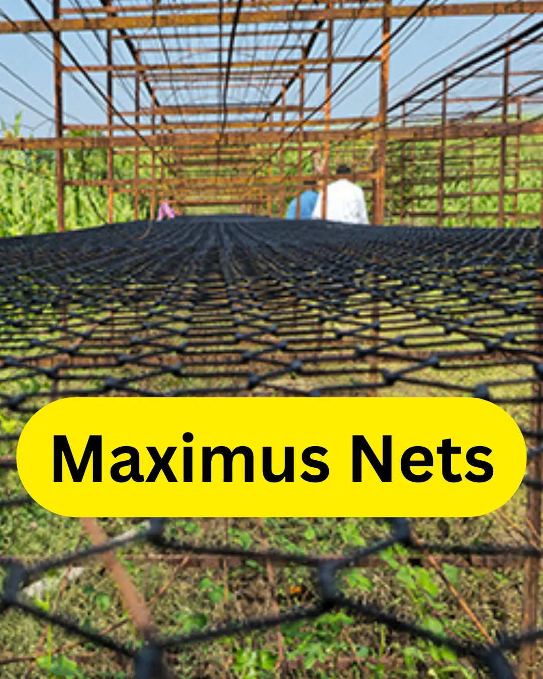 Maximus Nets for Baidana || Inoventive Filaments
